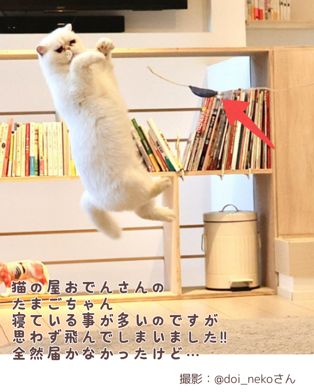 EGGNWORKS エッグンワークス ツクルヒトタチ博in京都文化博物館2025 丈夫鹿革猫じゃらし 天然素材で作っています。 山猫本舗