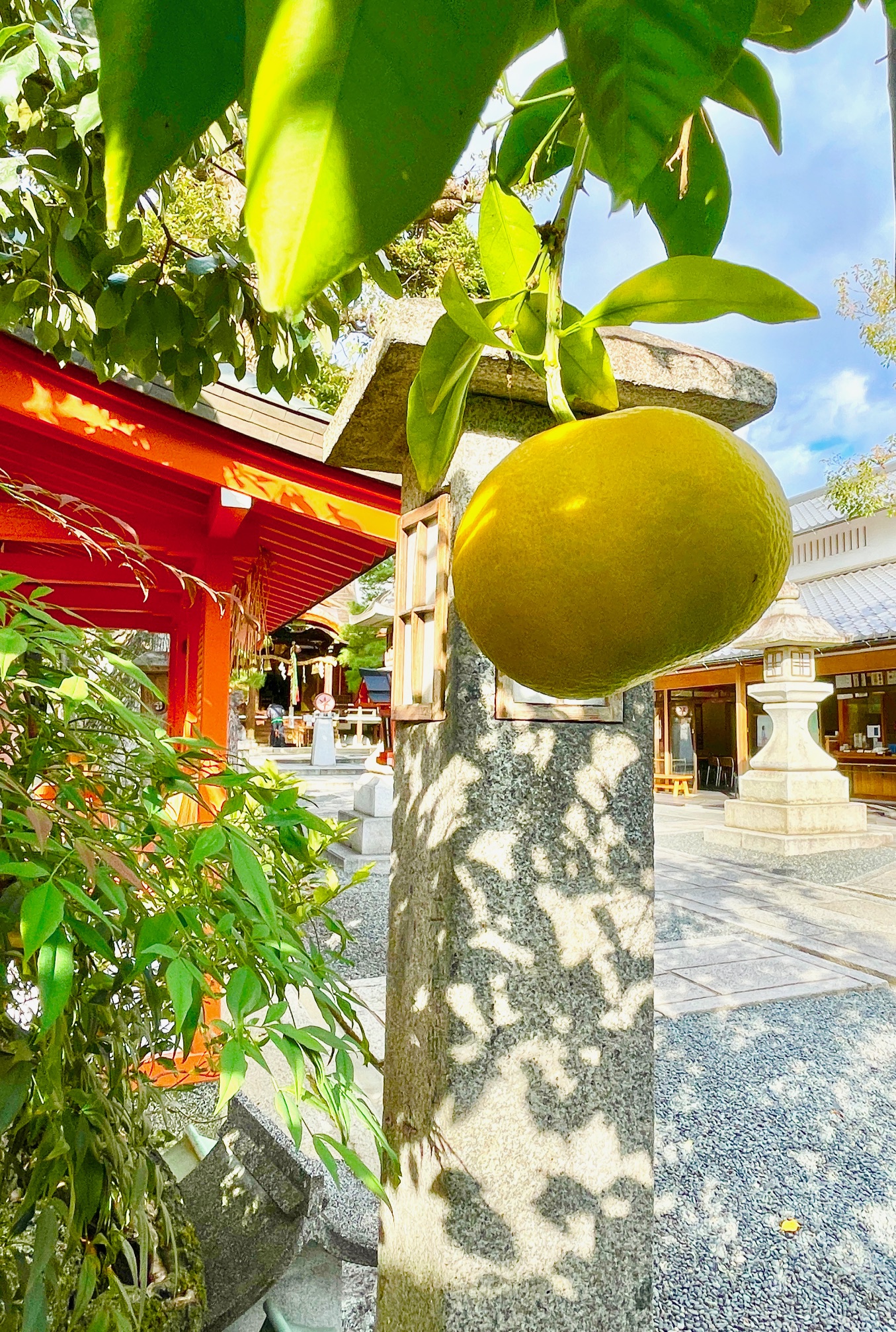 ツクルヒトタチ博in京都文化博物館2025 EggnWorks Museum エッグンワークス ミュージアム シマウマからのメッセージあーやん