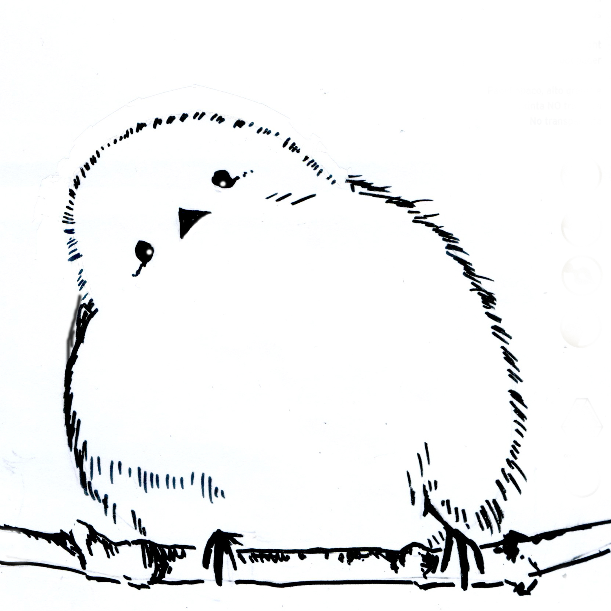 EggnWorks Museum エッグンワークス ミュージアム シマエナガ