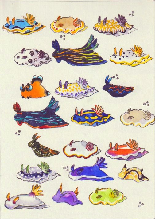 EggnWorks Museum 海の宝石