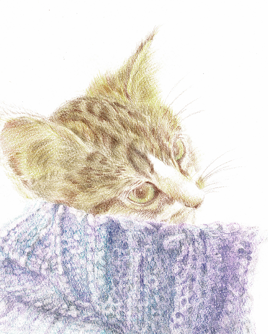 EggnWorks Museum フワモコ猫