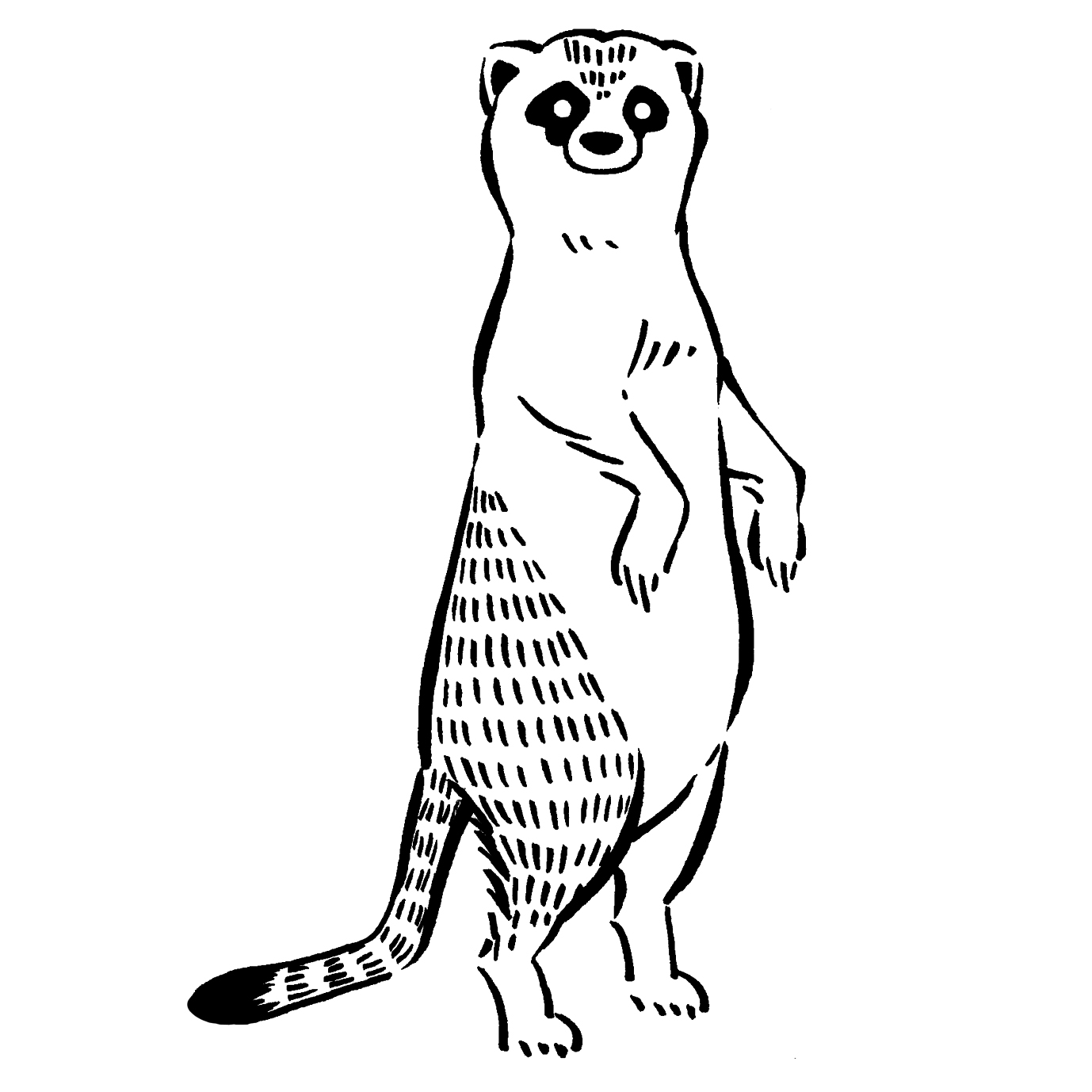 EggnWorks Museum エッグンワークス ミュージアム ミーアキャット