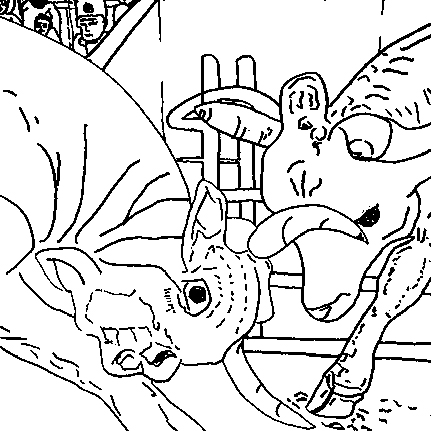 EggnWorks Museum エッグンワークス ミュージアム 闘牛エドワード38