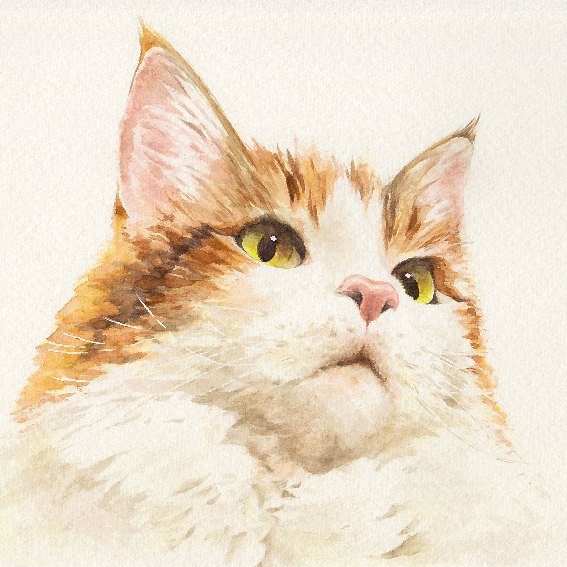 EggnWorks Museum エッグンワークス ミュージアム メインクーン