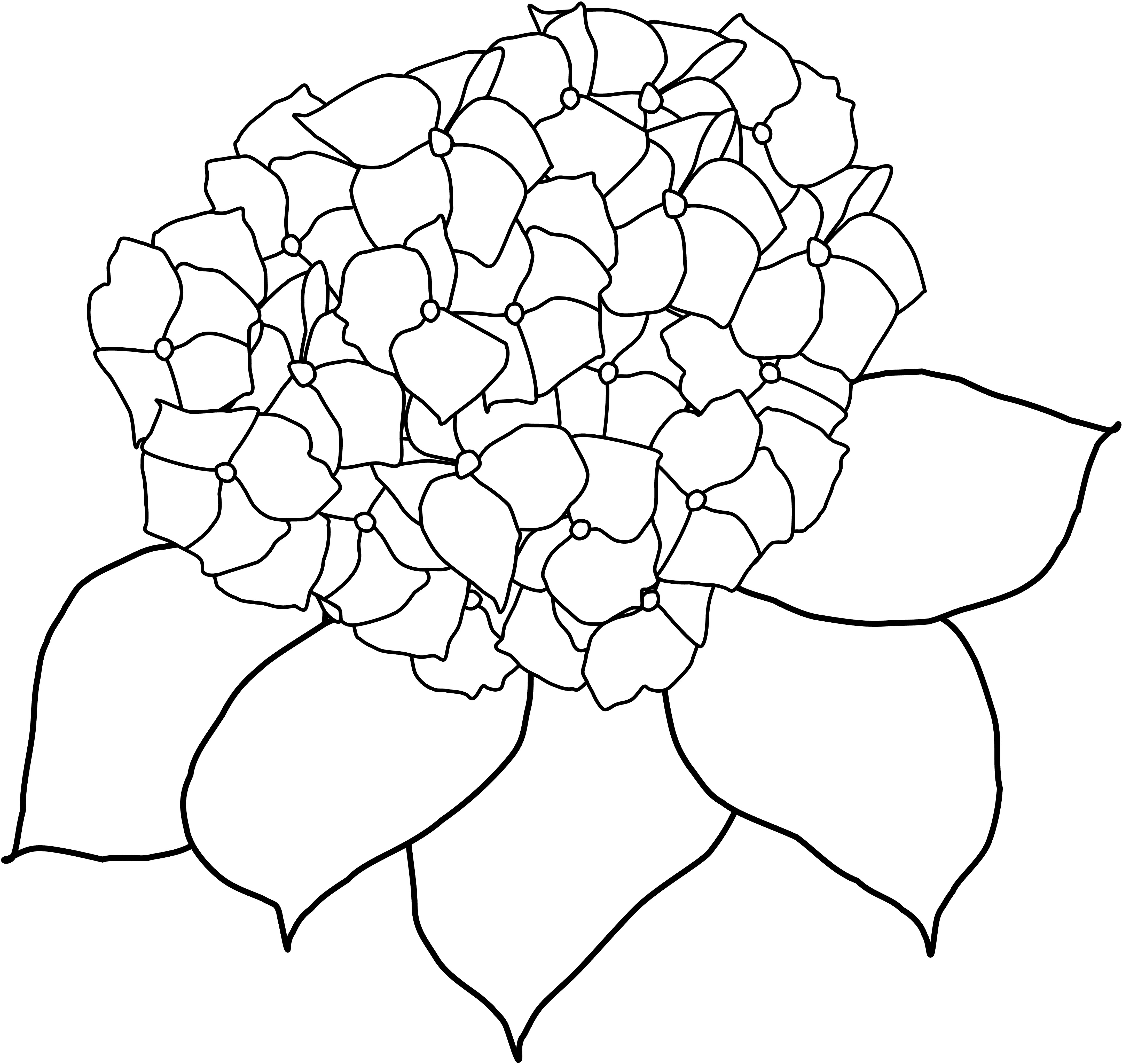 EggnWorks Museum エッグンワークス ミュージアム 紫陽花　（シンプル）