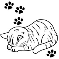 EggnWorks Museum エッグンワークス ミュージアム 猫のごめん寝
