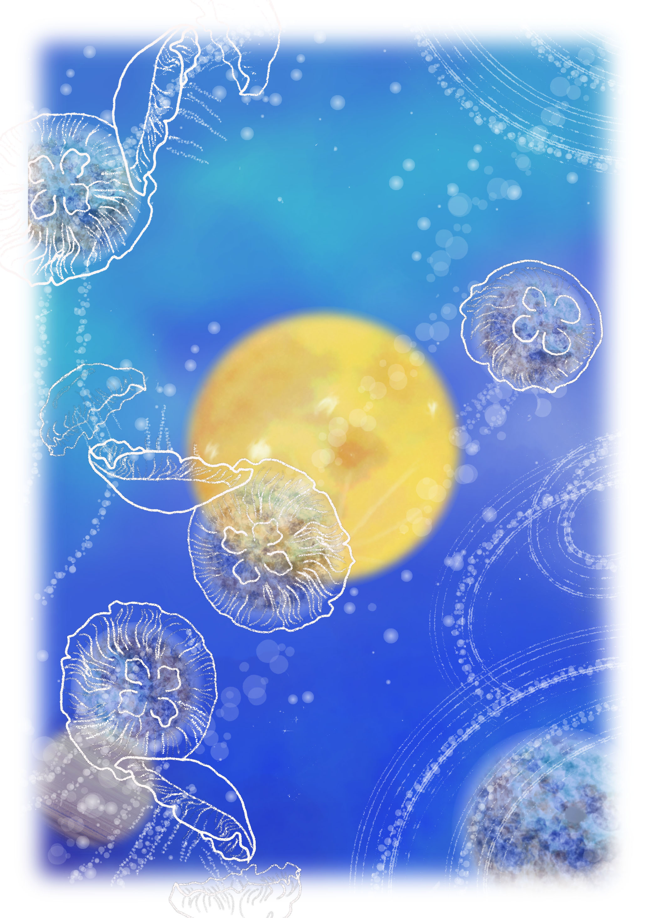 EggnWorks Museum エッグンワークス ミュージアム 海の中の宇宙(universum)うさこ