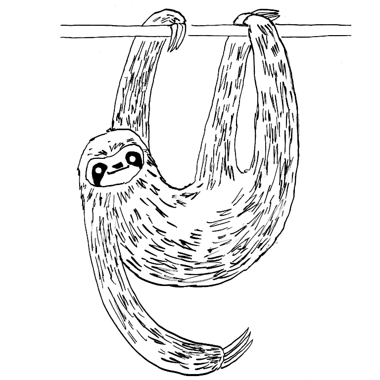 EggnWorks Museum エッグンワークス ミュージアム ナマケモノさん