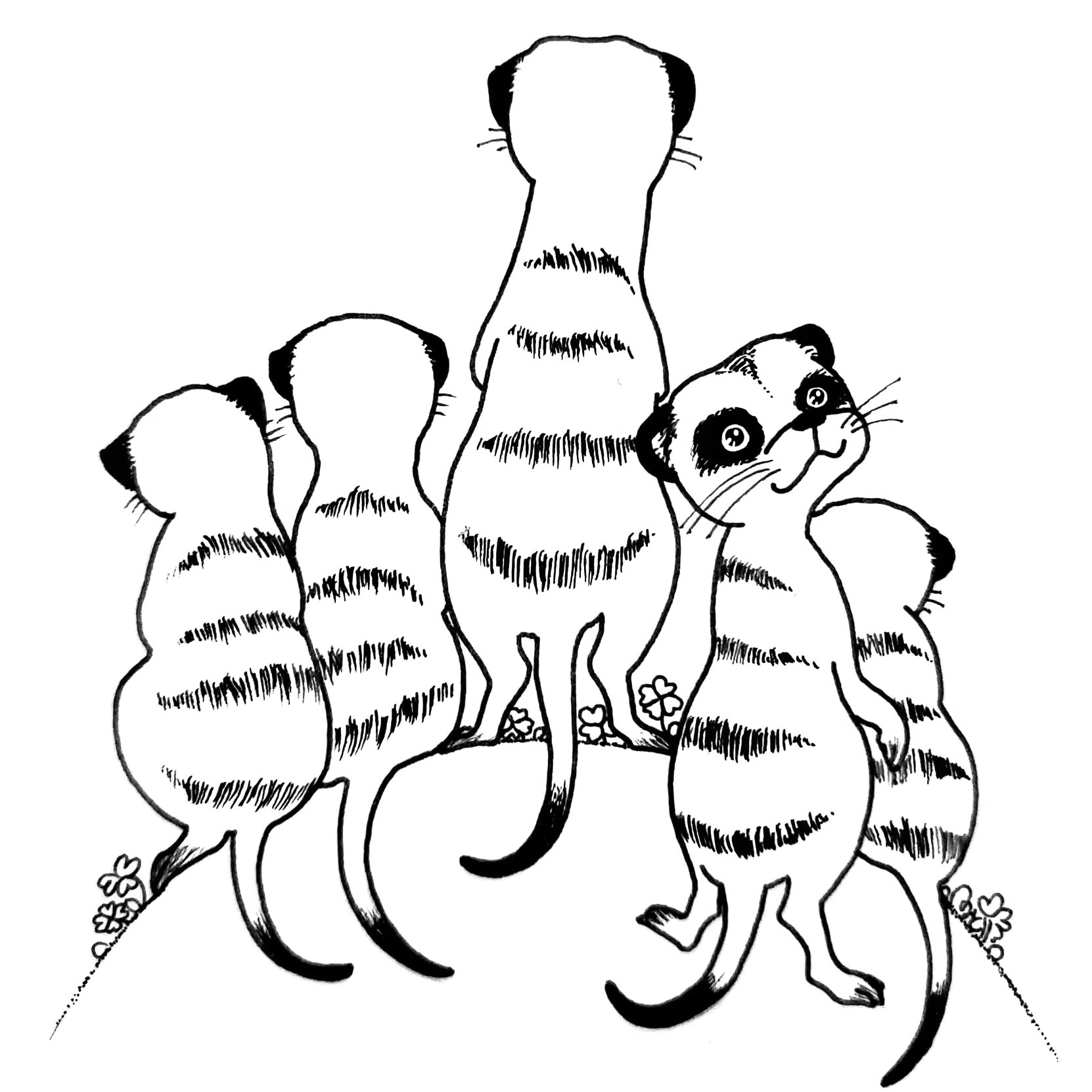 EggnWorks Museum エッグンワークス ミュージアム Illustration mini ミーアキャット