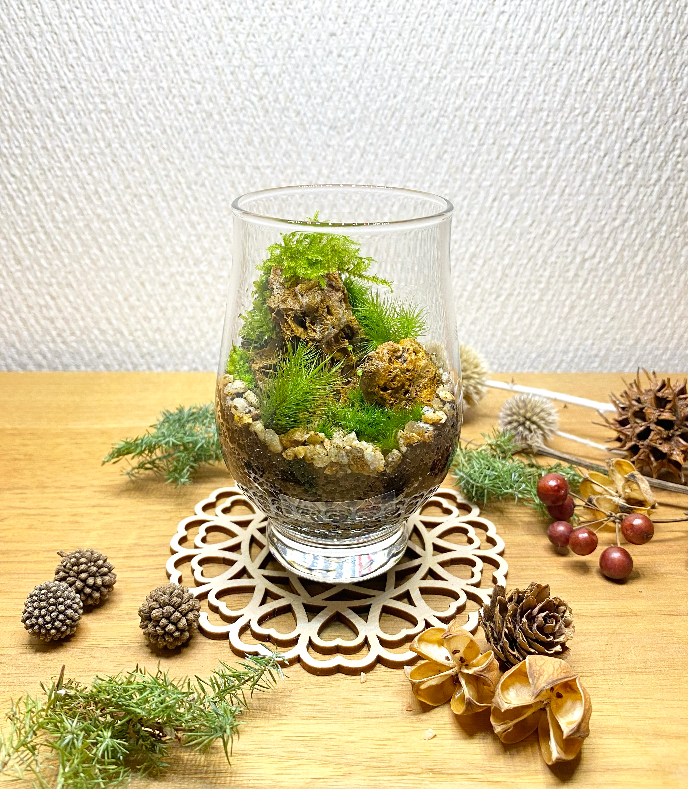 EGGNWORKS エッグンワークス ツクルヒトタチ 苔テラリウム　moss plus N