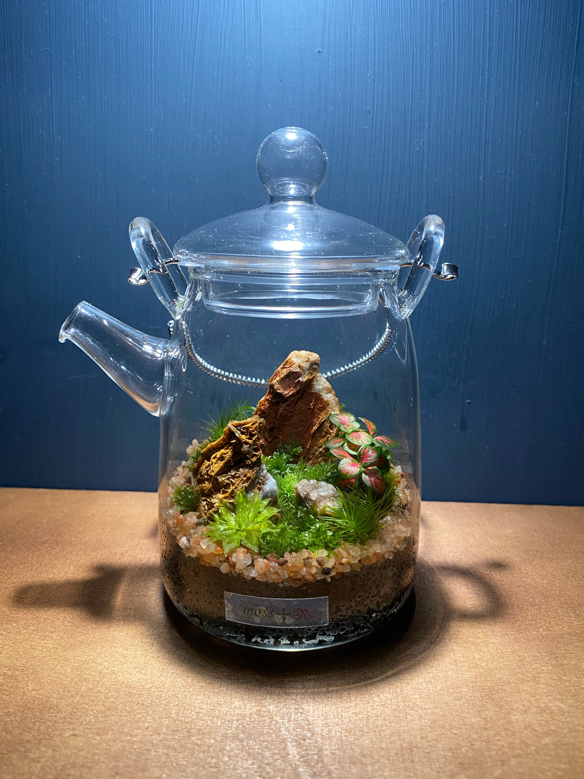 ツクルヒトタチ博in京都文化博物館2025 EGGNWORKS エッグンワークス moss plus N 