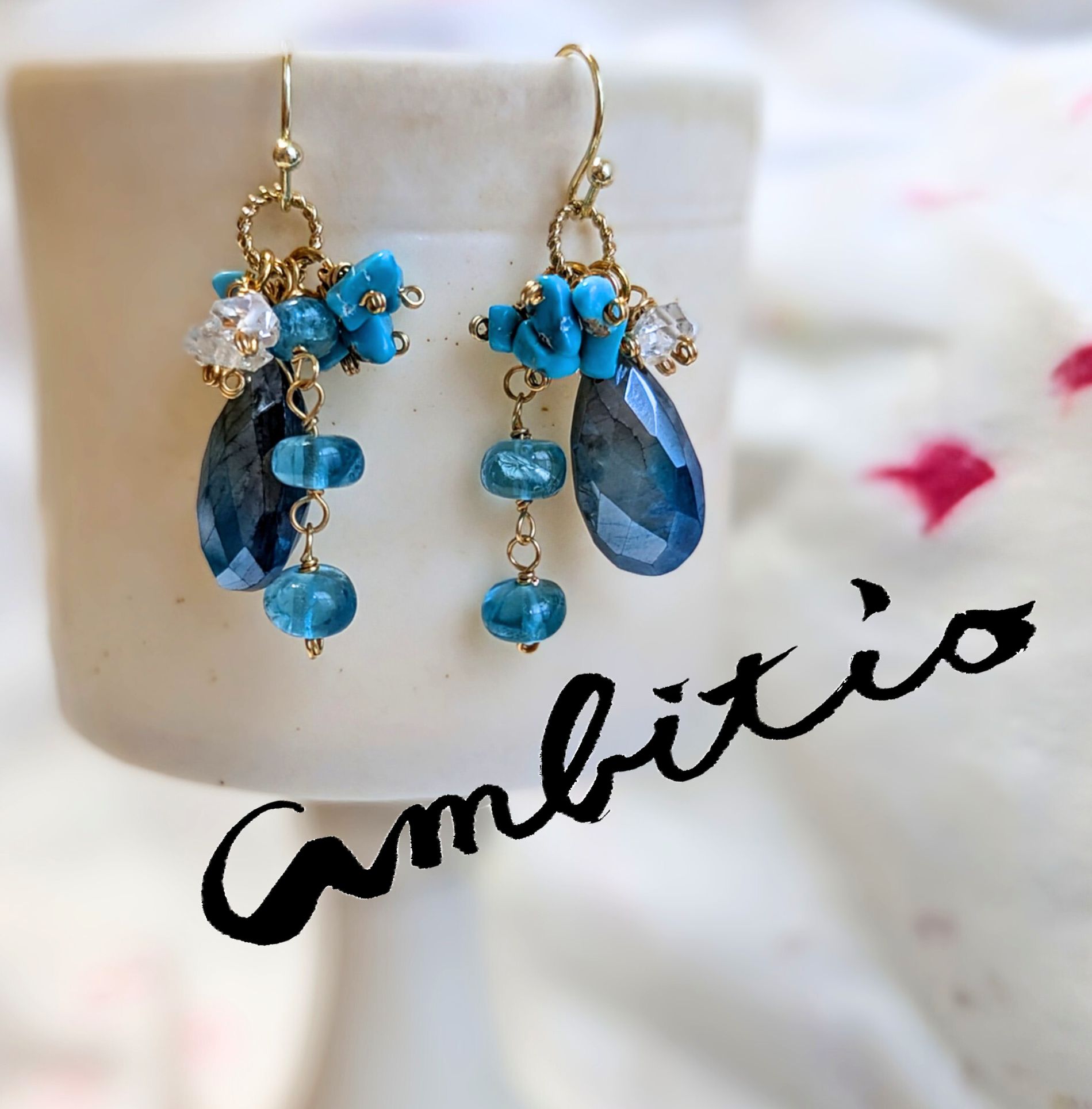 Ambitio