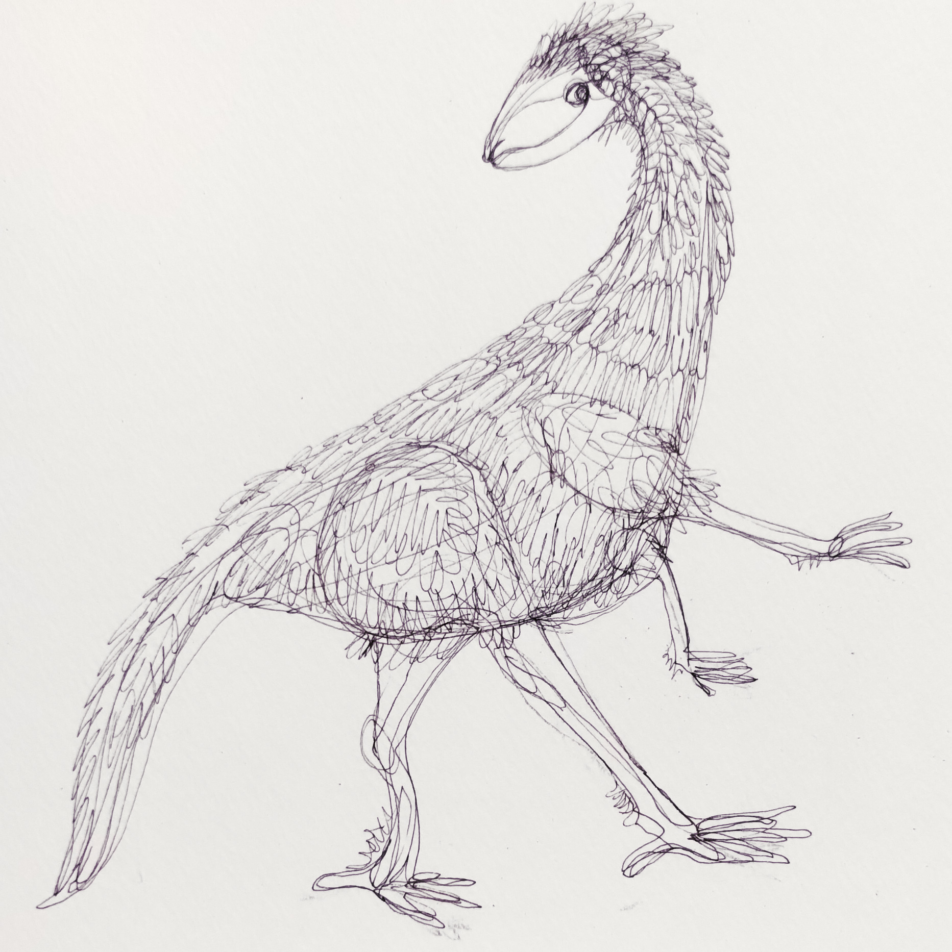 EggnWorks Museum エッグンワークス ミュージアム ＳＡＮＰＯーキョウリュウ01