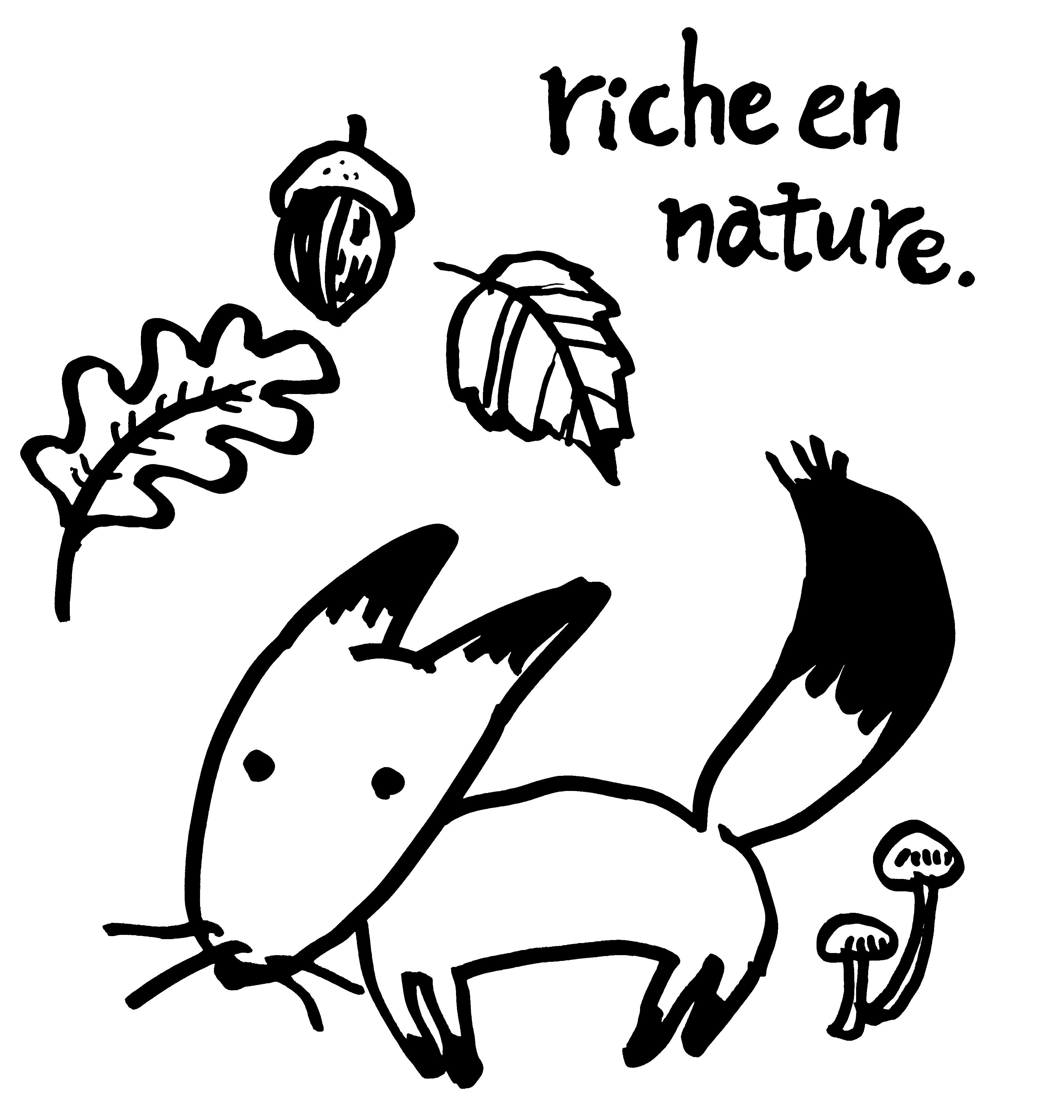 EggnWorks Museum エッグンワークス ミュージアム きつねねねAnko