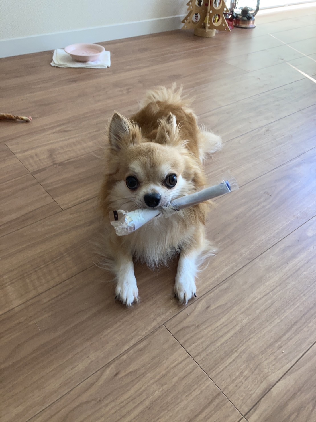 樋口健也