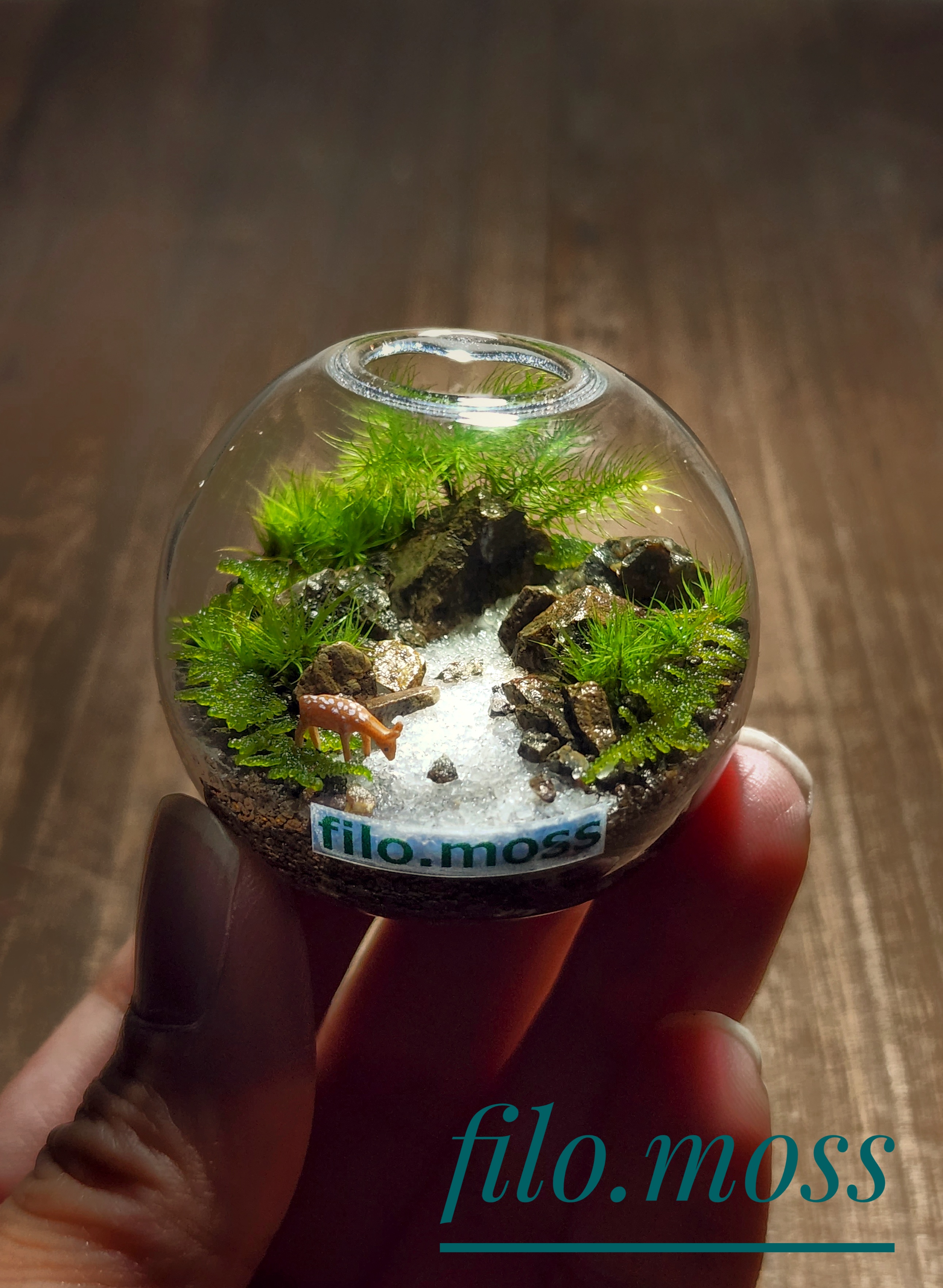 EGGNWORKS エッグンワークス ツクルヒトタチ博in京都文化博物館2025 「ひとつまみの世界」 filo moss