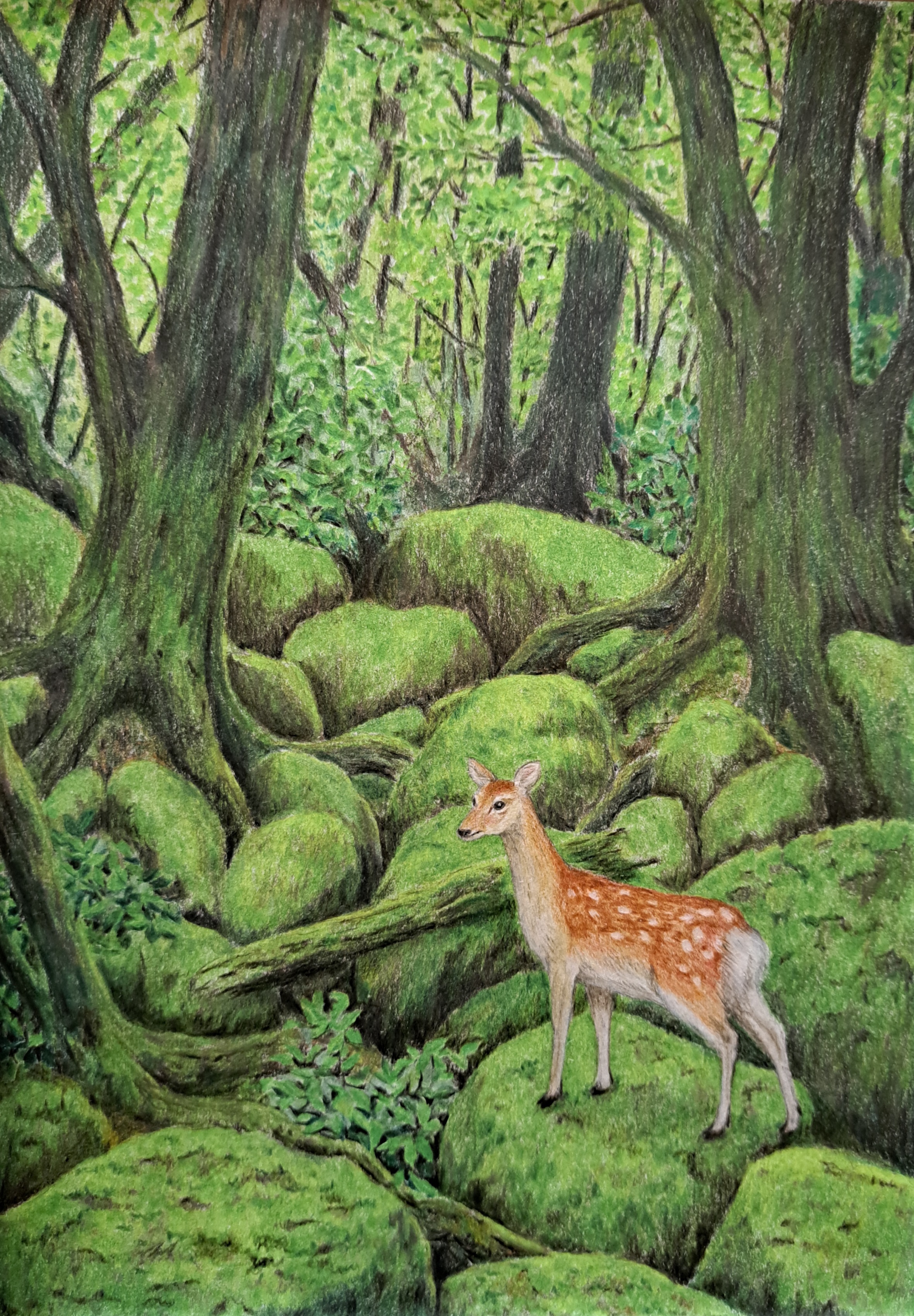 EggnWorks Museum 苔むす森
