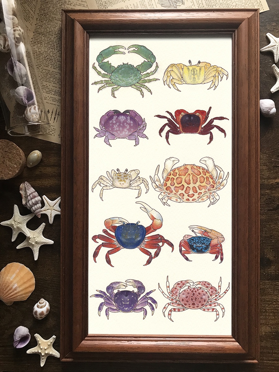 EggnWorks Museum エッグンワークス ミュージアム 蟹SHIMASATOMI