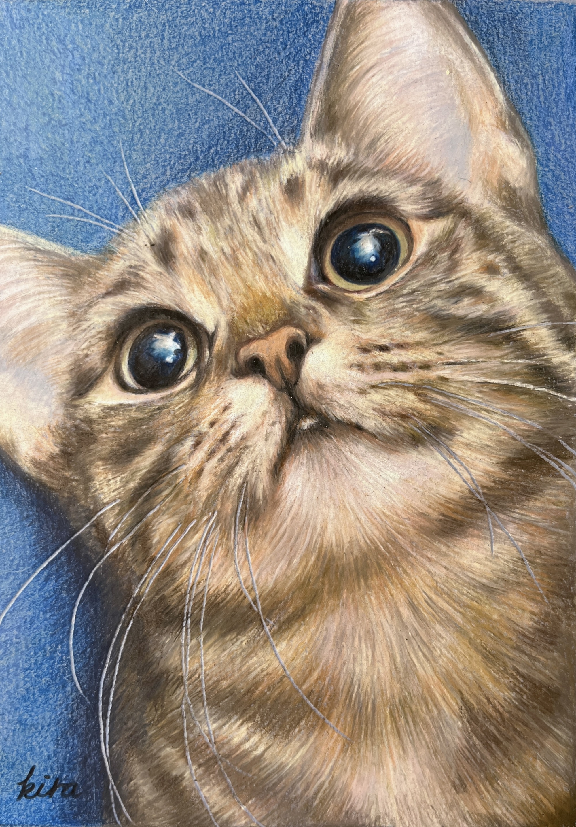 EggnWorks Museum エッグンワークス ミュージアム かがやく瞳きら