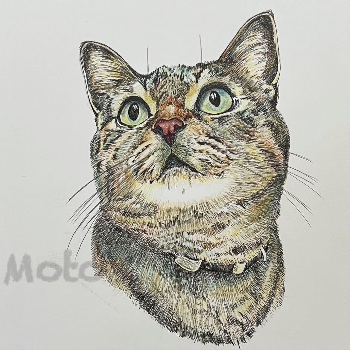 EggnWorks Museum エッグンワークス ミュージアム ねこのポートレート1もと