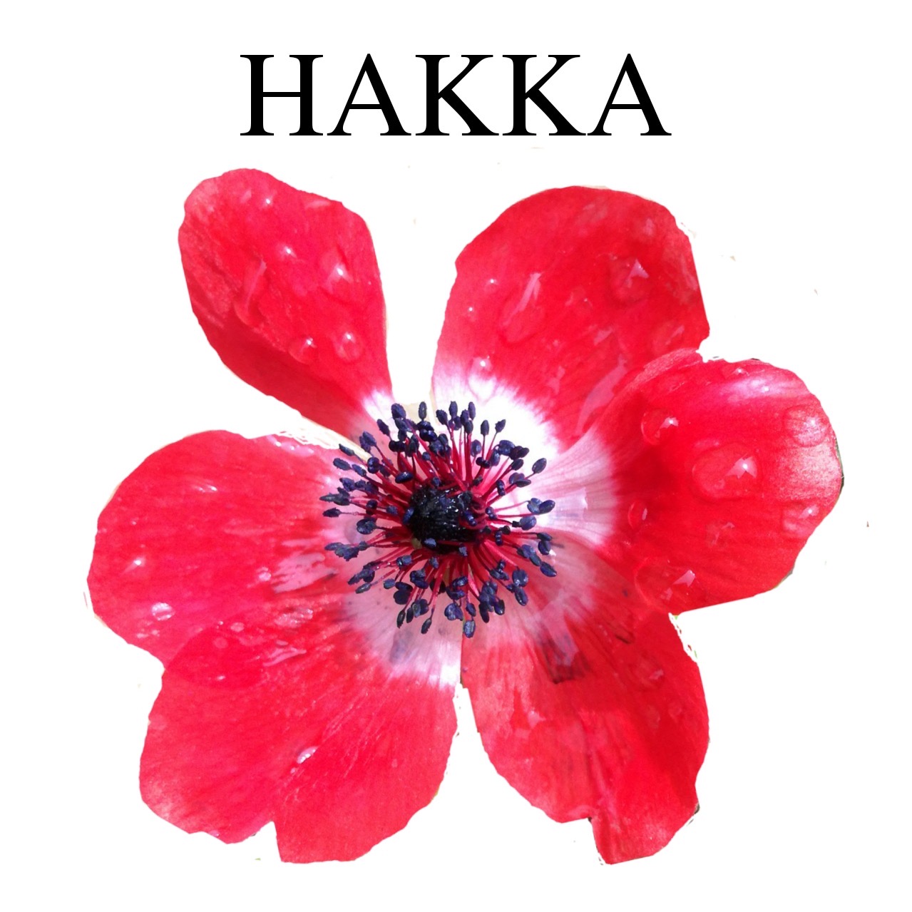 HAKKA