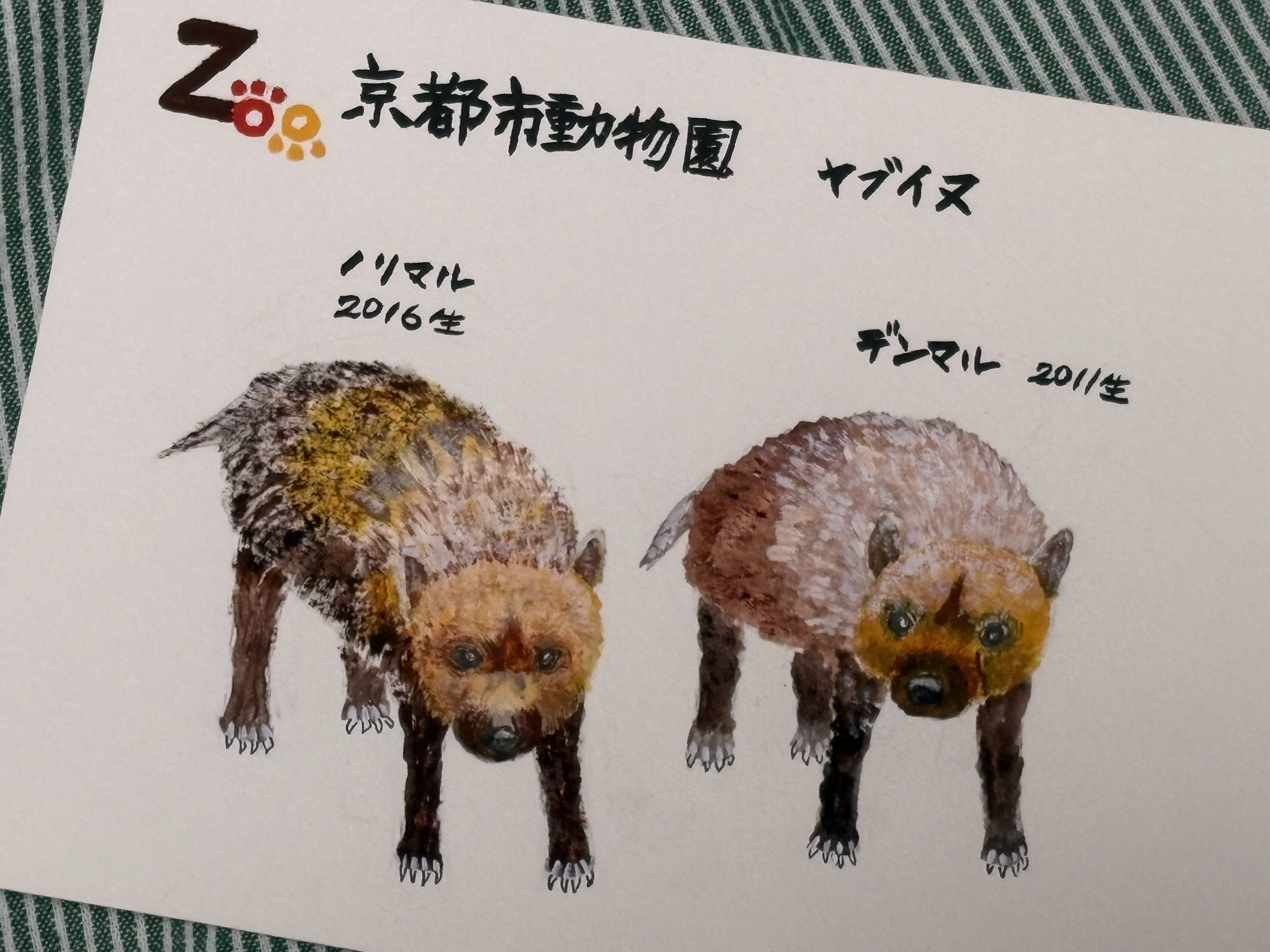 EGGNWORKS エッグンワークス ツクルヒトタチ博in京都文化博物館2025 ヤブイヌ halu