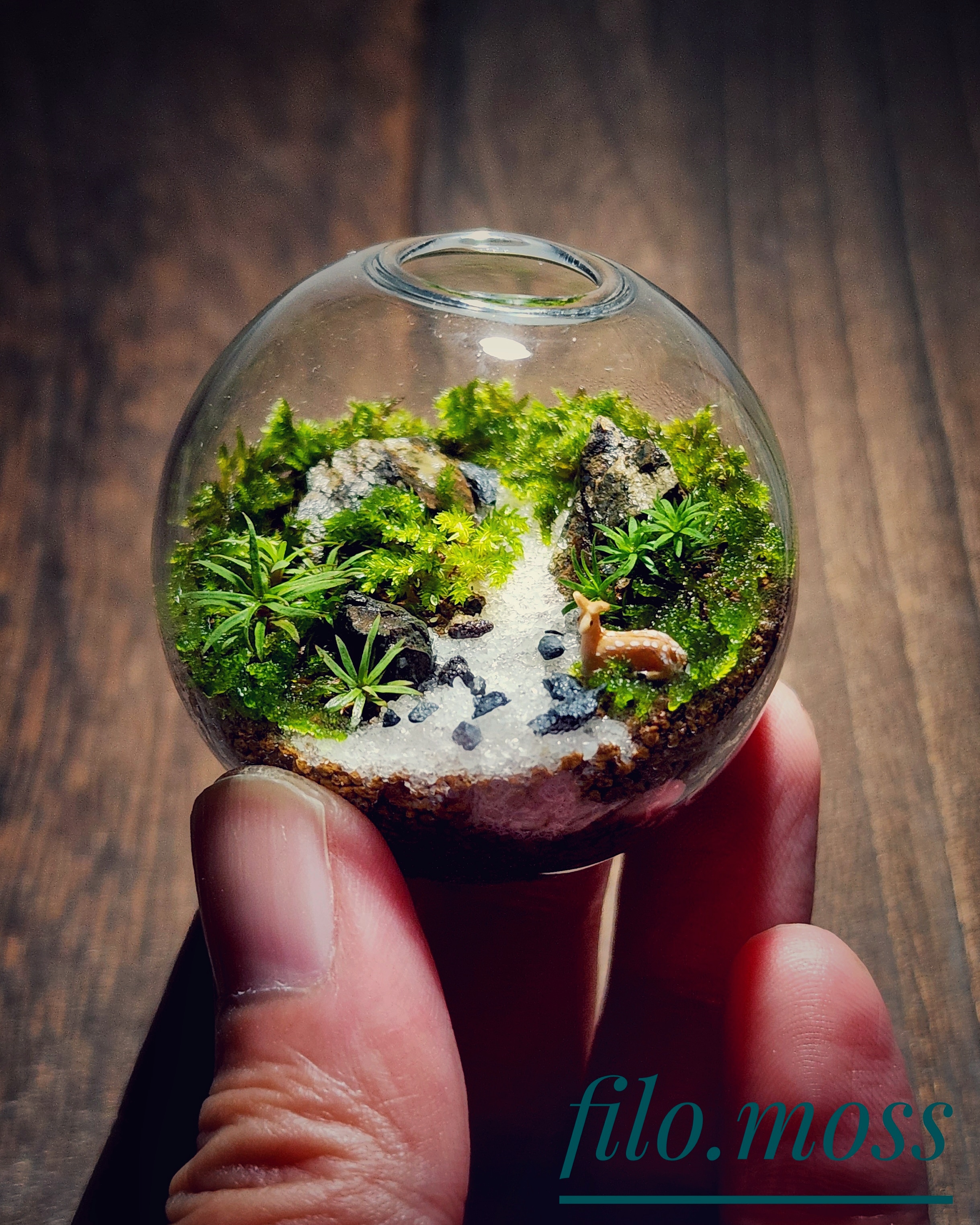 ツクルヒトタチ博in京都文化博物館2025 EGGNWORKS エッグンワークス filo moss ひとつまみの世界