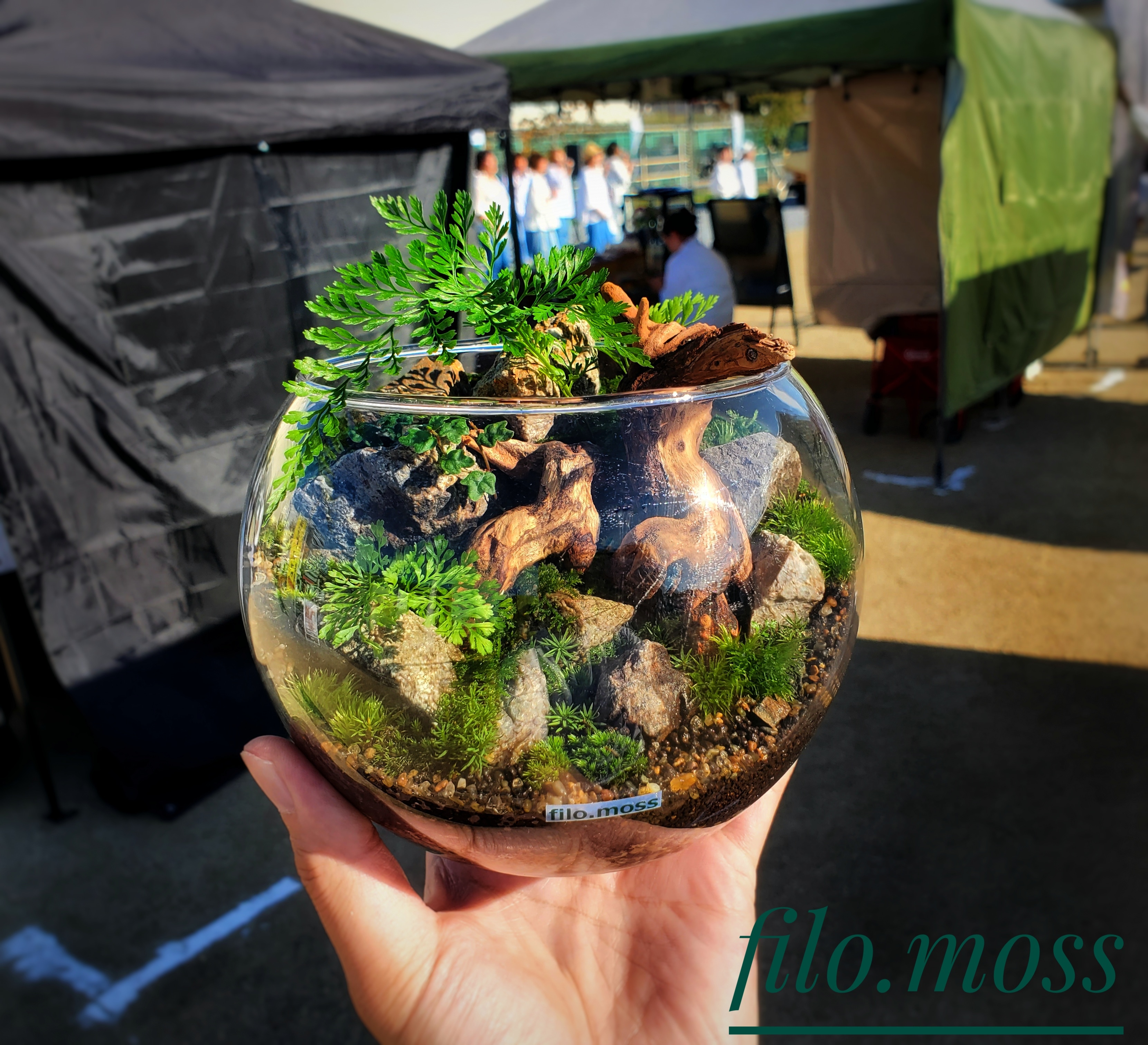 EGGNWORKS エッグンワークス ツクルヒトタチ博in京都文化博物館2025 「ひとつまみの世界」 filo moss