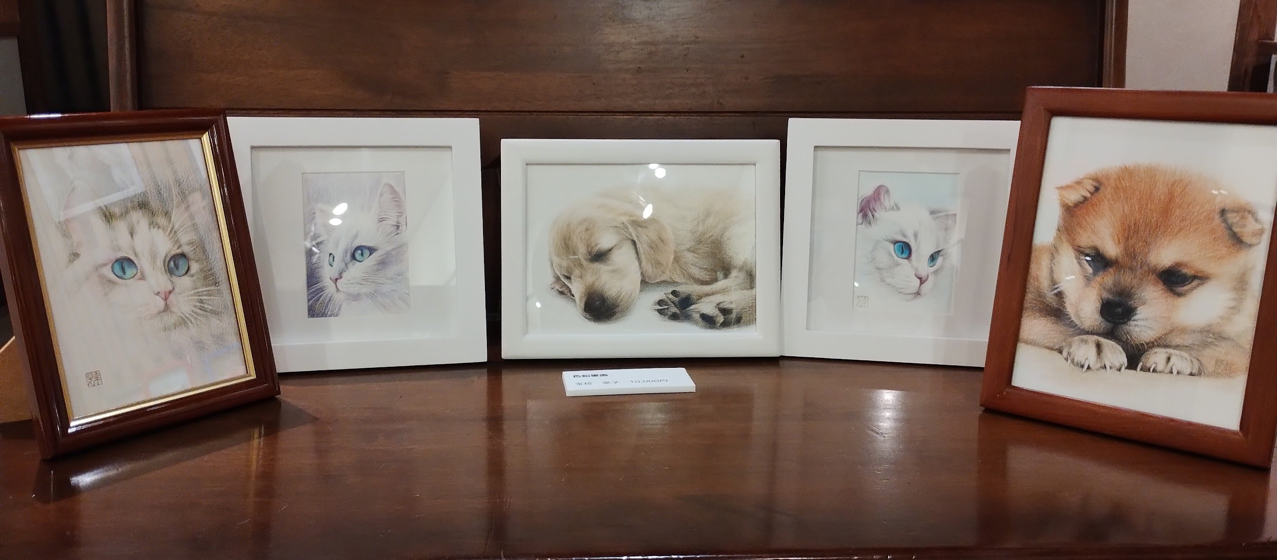 EGGNWORKS エッグンワークス ツクルヒトタチ 犬、猫、金魚などの色鉛筆画、色鉛筆画のポストカード　宝珍幸子