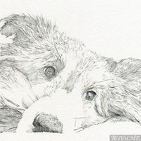 EggnWorks Museum エッグンワークス ミュージアム 琥珀
