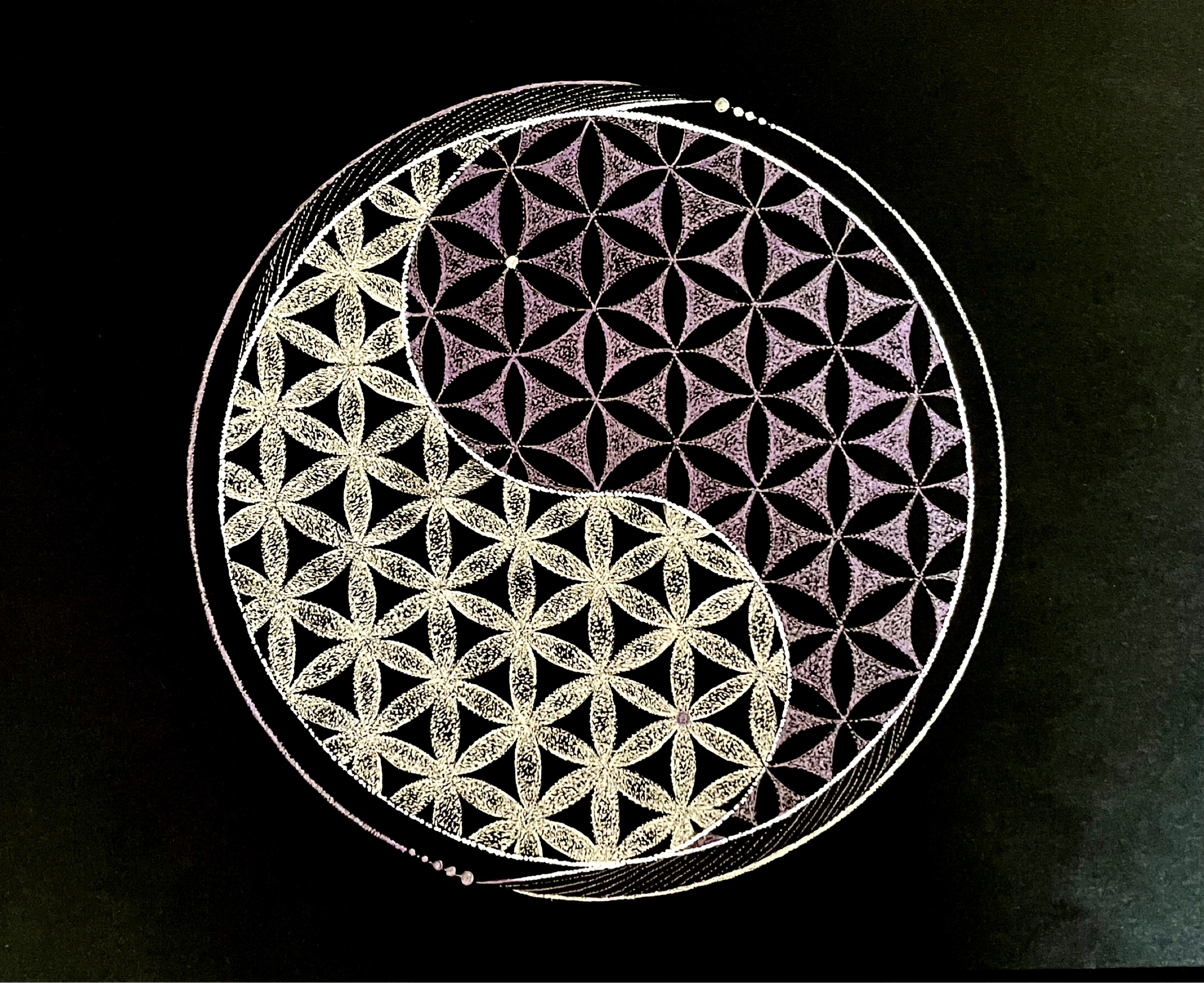 EggnWorks Museum エッグンワークス ミュージアム 点描曼荼羅【陰陽太極図】