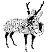 EggnWorks Museum エッグンワークス ミュージアム 奈良の鹿