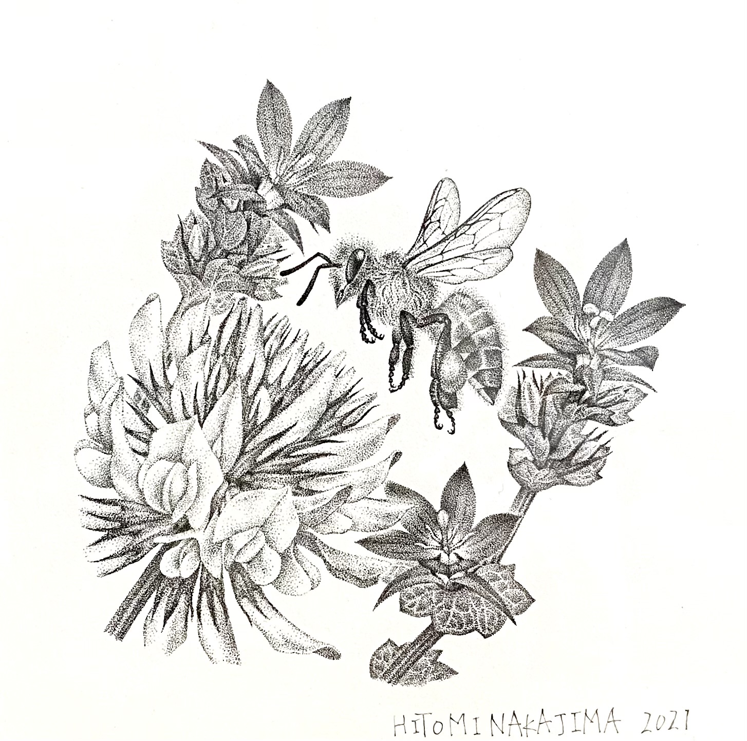 EggnWorks Museum エッグンワークス ミュージアム Anthophila