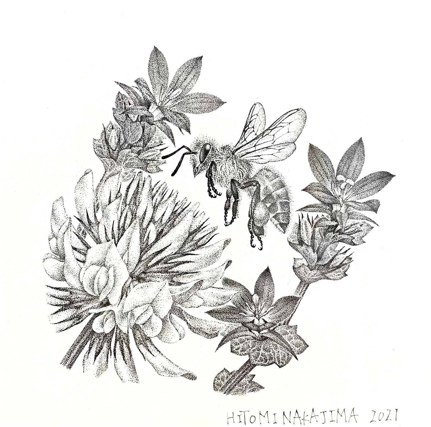 EggnWorks Museum エッグンワークス ミュージアム Anthophila