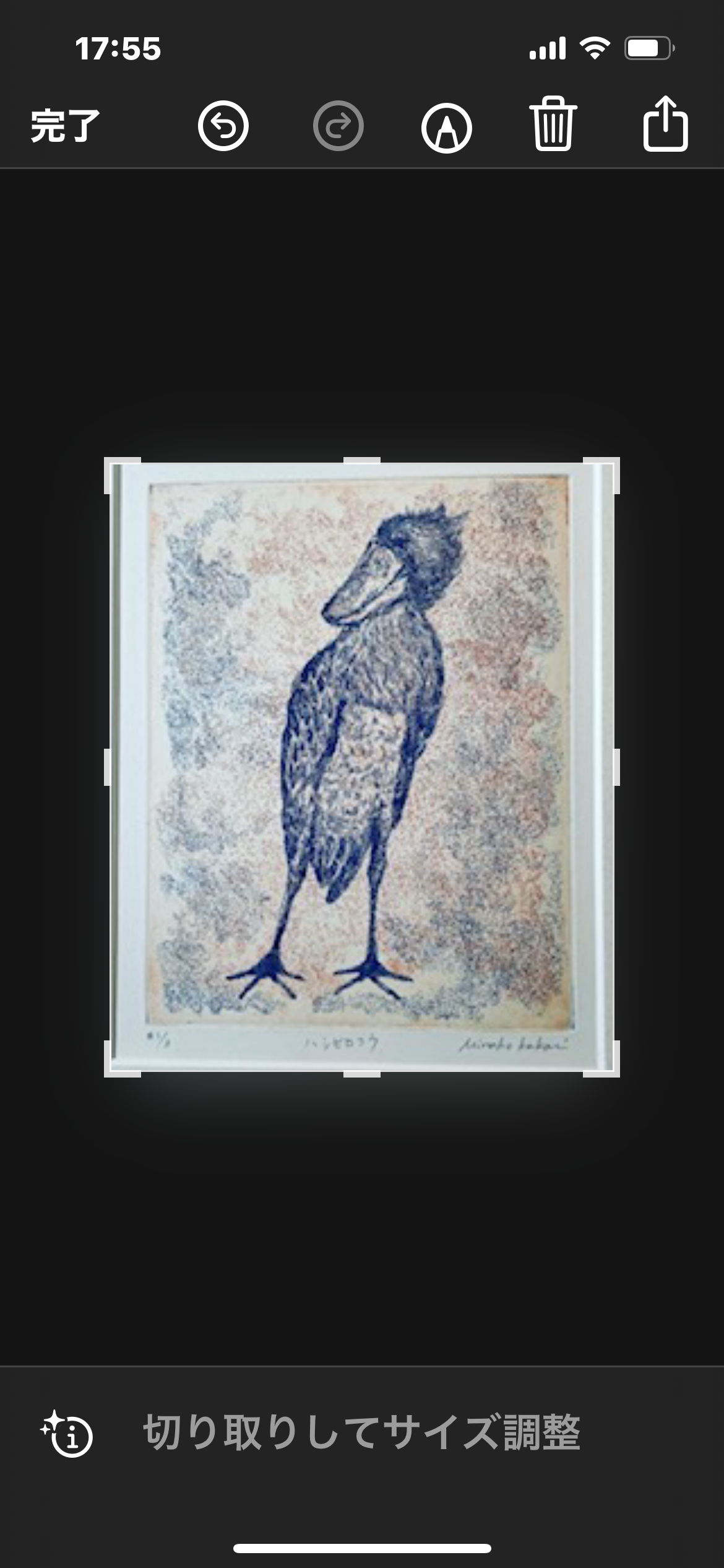 EggnWorks Museum エッグンワークス ミュージアム ハシビロコウKakoi