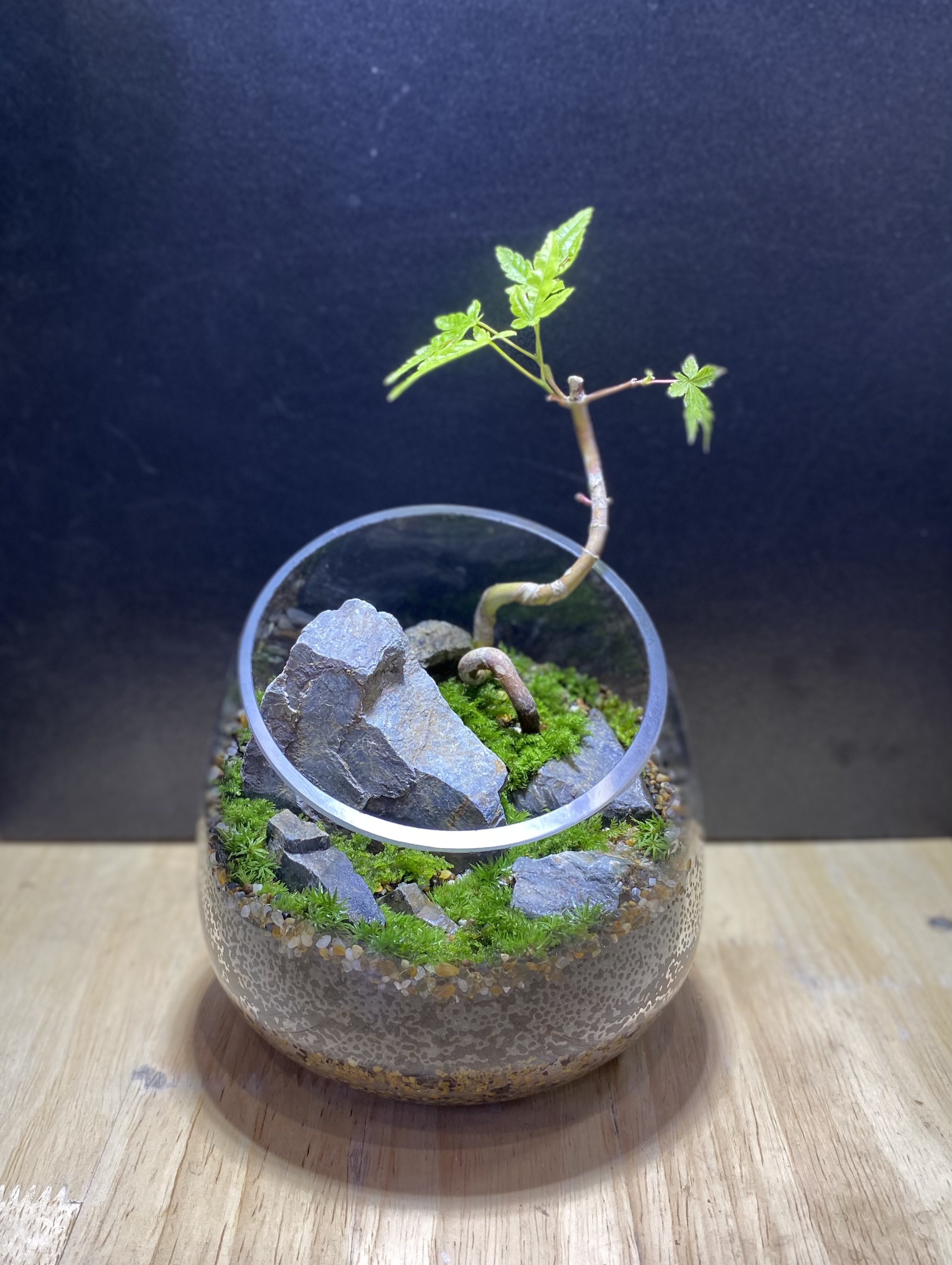 ツクルヒトタチ博popup in 京都伊勢丹2026.01 EggnWorks Museum エッグンワークス ミュージアム 森の中のトムテmoss plus N