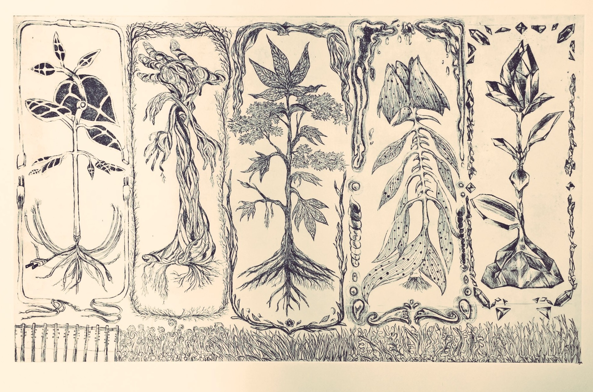 EggnWorks Museum 幻想植物