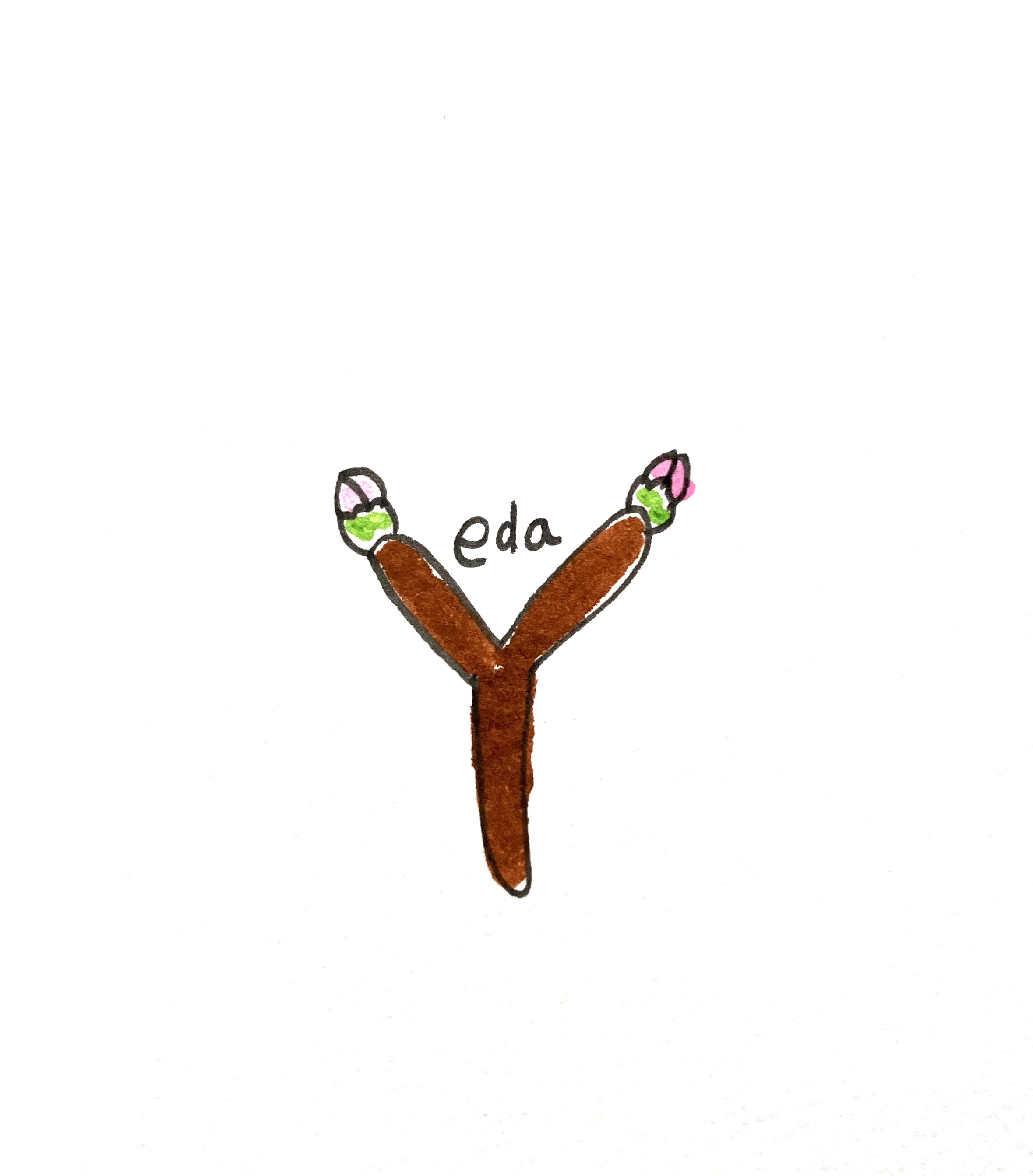 eda