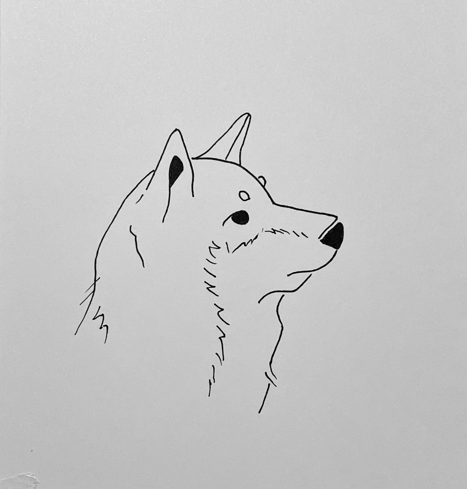 EggnWorks Museum エッグンワークス ミュージアム 柴犬（文字無し）町ノ燈