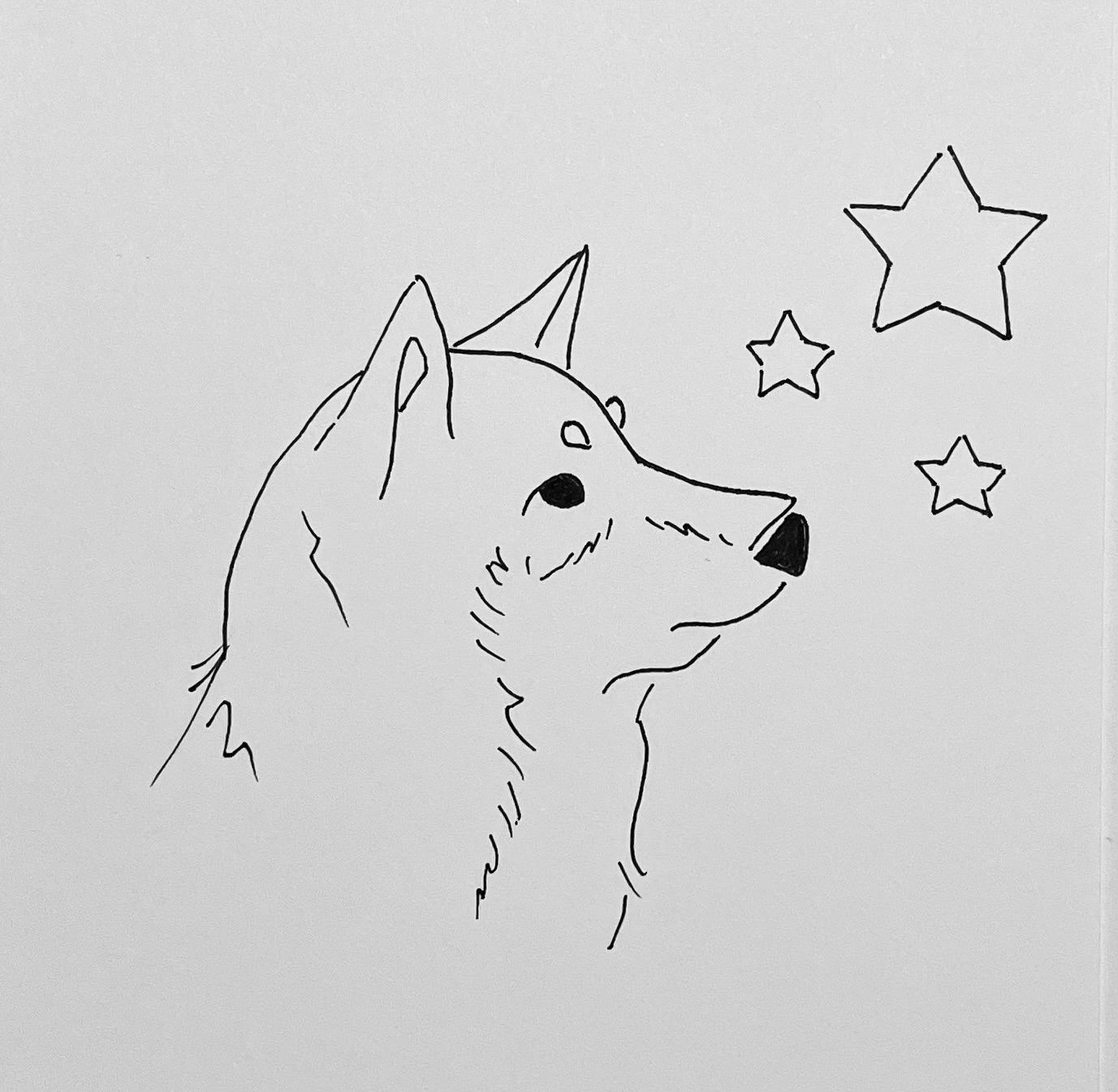 EggnWorks Museum エッグンワークス ミュージアム 星とワンコ