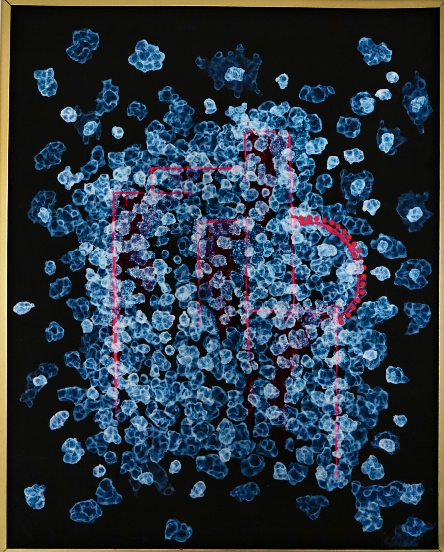 EggnWorks Museum エッグンワークス ミュージアム よふかしのクラゲ