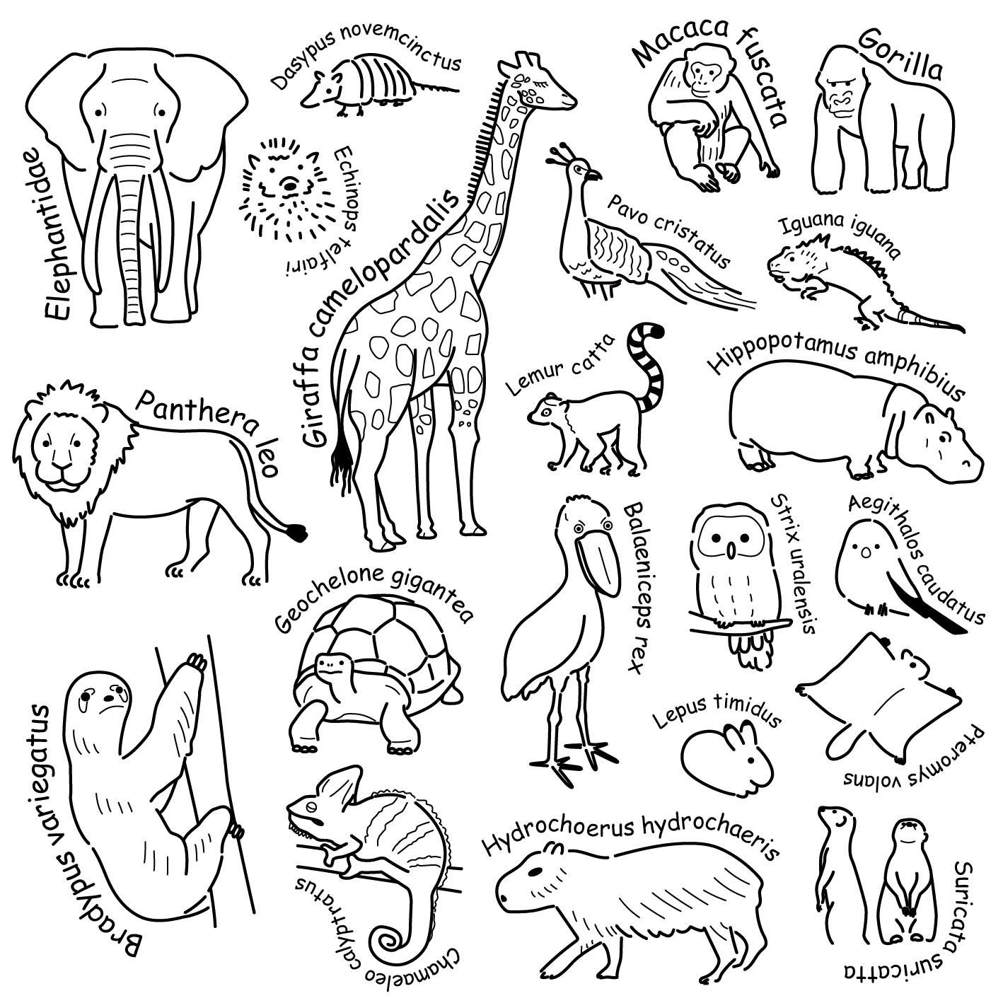 EggnWorks Museum エッグンワークス ミュージアム ZOO(ずー)っと一緒