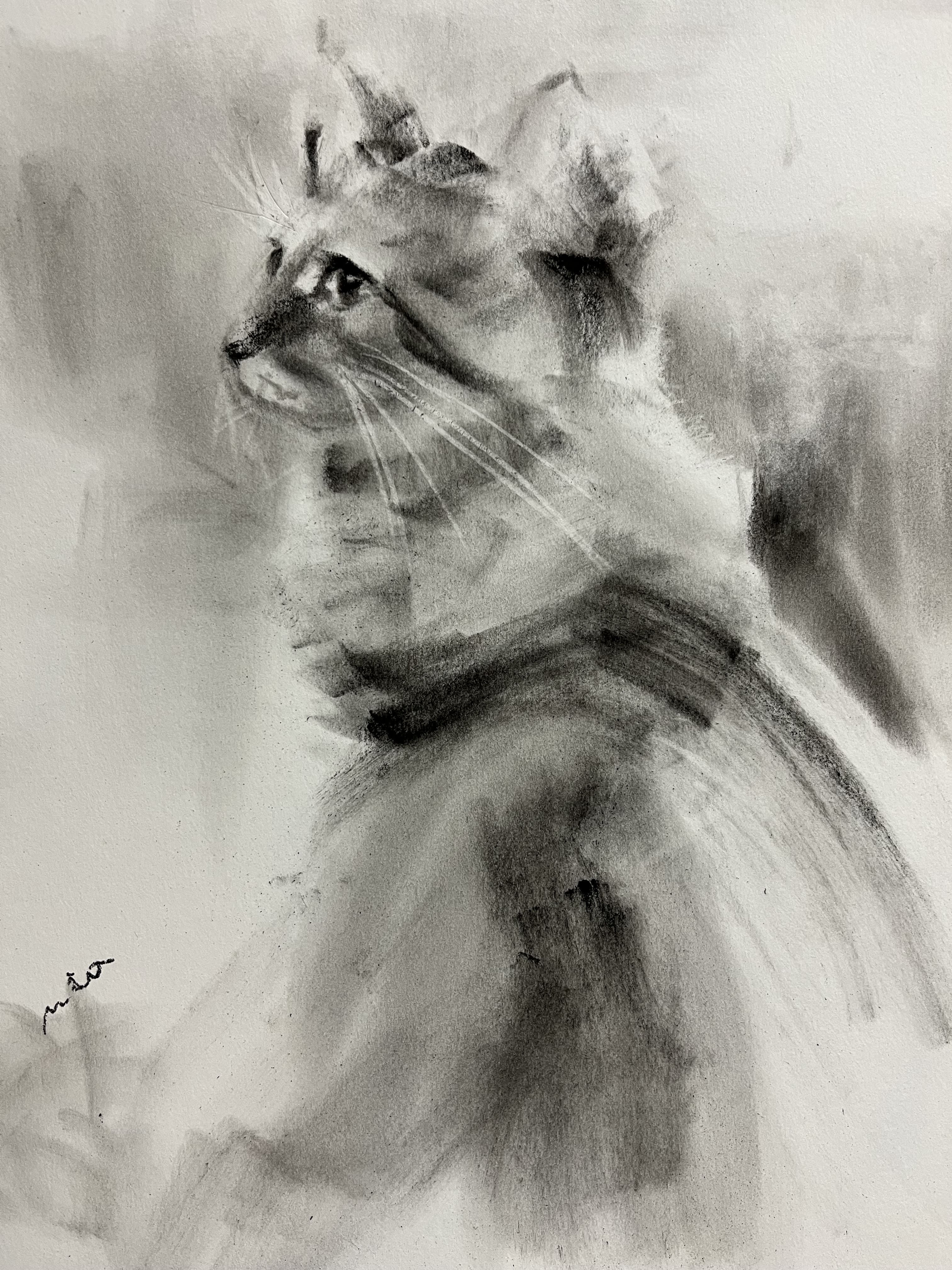 EggnWorks Museum エッグンワークス ミュージアム ねこのストーリー「アメリカ製額縁付き」段美合