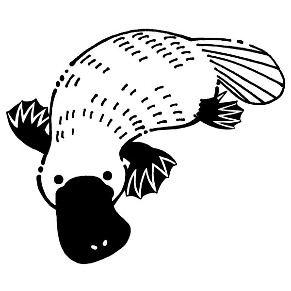 EggnWorks Museum エッグンワークス ミュージアム カモノハシ