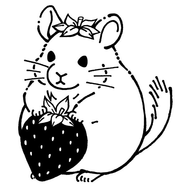 EggnWorks Museum エッグンワークス ミュージアム チンチラ苺