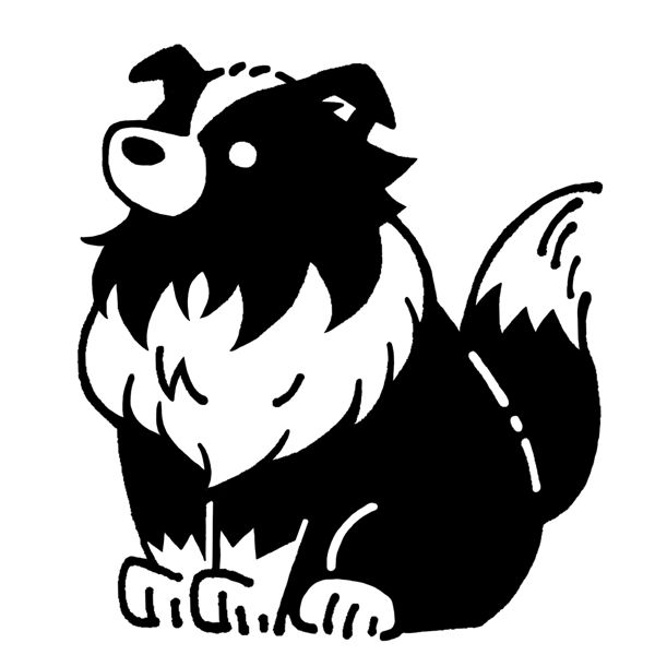 EggnWorks Museum エッグンワークス ミュージアム ボーダーコリー