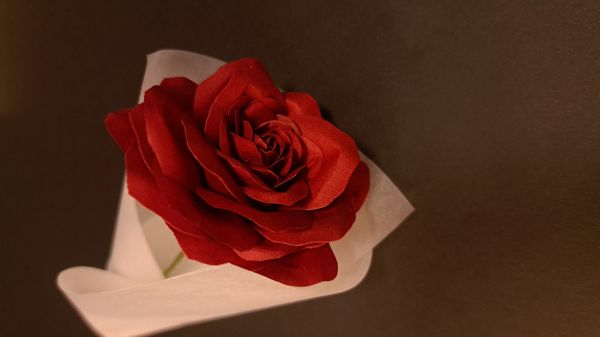 ツクルヒトタチ博in京都文化博物館2025 EGGNWORKS エッグンワークス AtelierNerine バラのミニブーケ