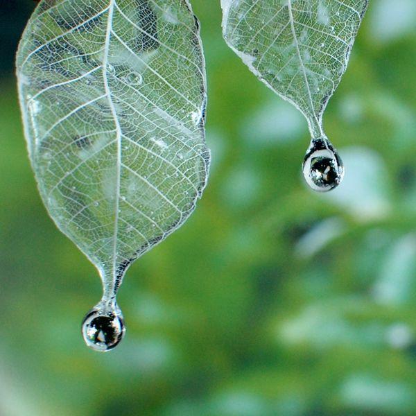 EggnWorks Museum エッグンワークス ミュージアム 雫煌めく朝露リーフピアス