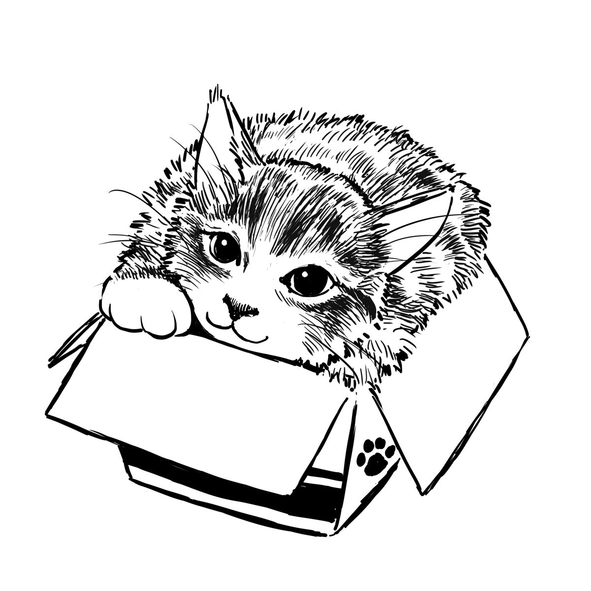 EggnWorks Museum エッグンワークス ミュージアム 猫 in the BOX