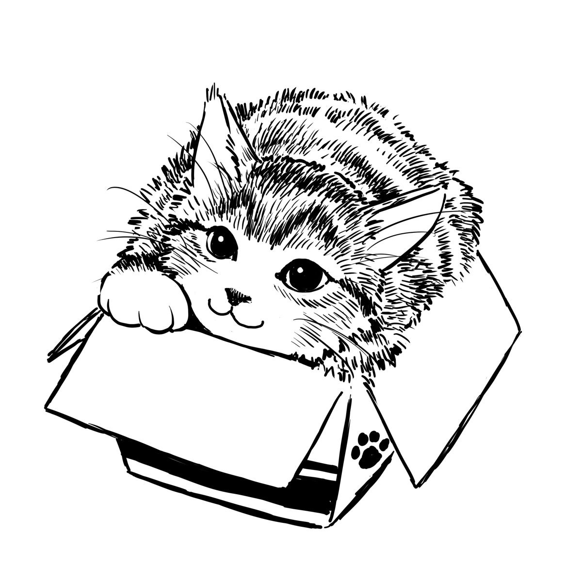 EggnWorks Museum エッグンワークス ミュージアム 猫 in the BOX （修正版）